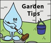 Water Saving Tips In The Garden