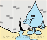 Check for Leaks