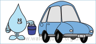Use a Sponge and bucket of water to clean your car